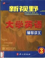 新视野大学英语辅导讲义 3