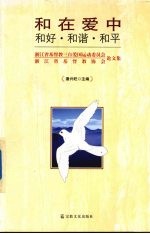 和在爱中-和好·和谐·和平 浙江省基督教三自爱国运动委员会、浙江省基督教协会论文集