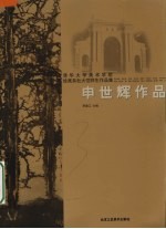 清华大学美术学院绘画系杜大恺师生作品集 申世辉作品