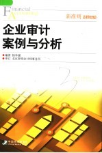 企业审计案例与分析