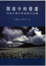 开放中的变迁 再论中国社会超稳定结构