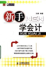 新手学会计