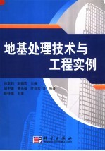 地基处理技术与工程实例