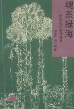 魂系绿海 西双版纳胶林春秋