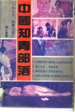 中国知青部落 1979·知青大逃亡
