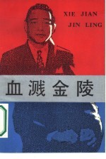 血溅金陵