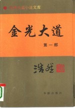 金光大道 第1部