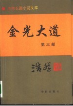 金光大道 第3部