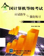 全国计算机等级考试应试指导与强化练习 三级·B类