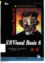实用Visual Basic 6教程