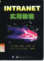 Intranet实用教程