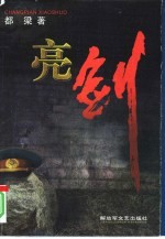 亮剑