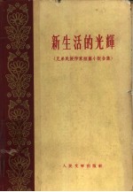 新生活的光辉 兄弟民族作家短篇小说合集