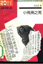 小飞燕之死