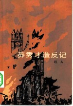 莽秀才造反记