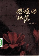 燃烧的记忆