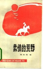 柔情的荒野