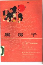 黑房子