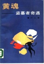 黄魂-盗墓者奇遇