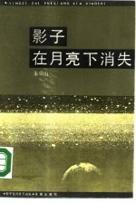 影子在月亮下消失