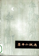云南小说选