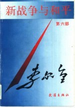 新战争与和平 第6部 战略展开相持阶段