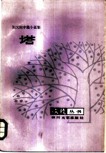 塔 张抗抗中篇小说集