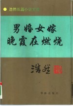 男婚女嫁 又名，山水情 晚霞在燃烧