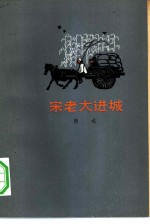 宋老大进城