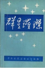 群星璀璨