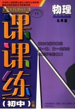 义务教育课程标准课课练丛书 物理 九年级
