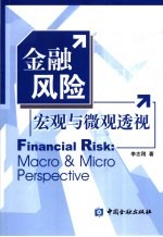 金融风险:宏观与微观透视