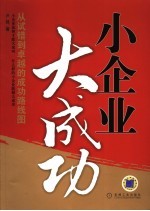 小企业大成功 从试错到卓越的成功路线图