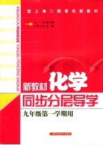新教材化学同步分层导学 九年级 第一学期用