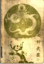 七种武器 3
