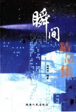 瞬间精品集 榆林市获奖新闻选评