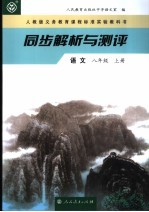 同步解析与测平 语文