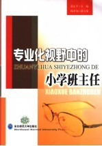 专业化视野中的小学班主任