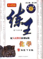 练王 人教实验版 九年级化学