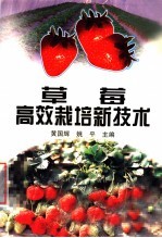 草莓高效栽培新技术