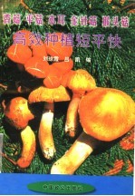 香茹 平茹 木耳 金针菇 猴头茹高效种植短平快