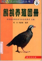 鹧鸪养殖图册