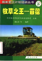 牧草之王 苜蓿