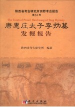 唐惠庄太子李（扌为）墓发掘报告