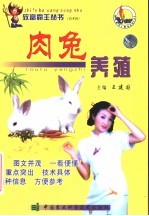 肉兔养殖
