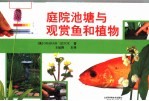 庭院池塘与观赏鱼和植物