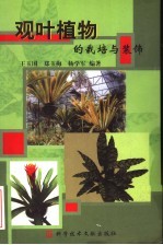 观叶植物的栽培与装饰