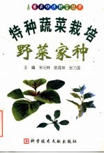 特种蔬菜栽培 野菜家种