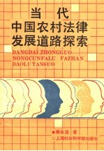 当代中国农村法律发展道路探索