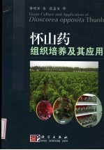 怀山药组织培养及其应用